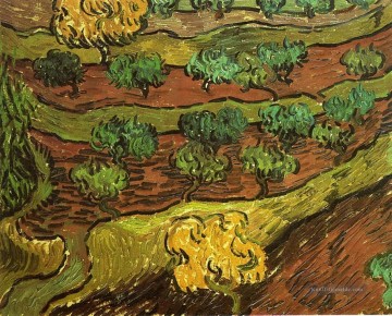 Vincent Van Gogh Werke - Olivenbäume gegen einen Abhang eines Hügels Vincent van Gogh